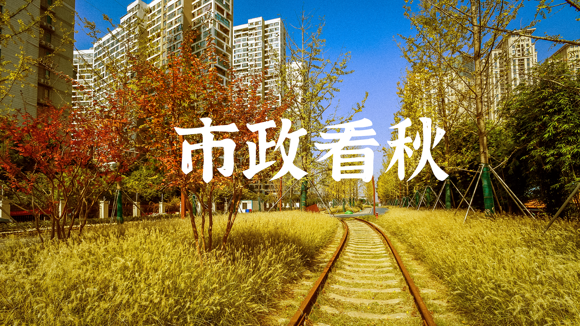 利发国际|Home