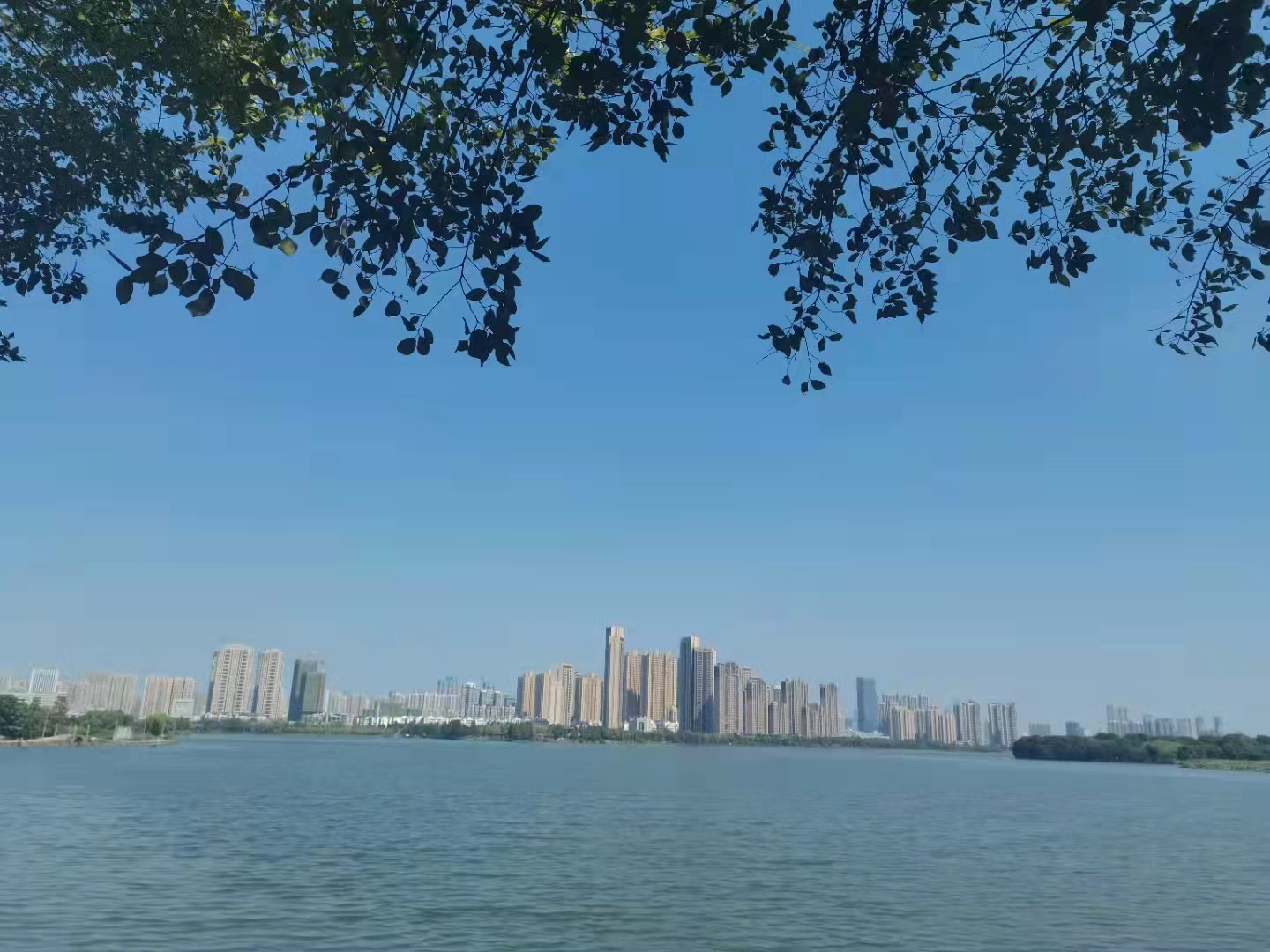 利发国际|Home
