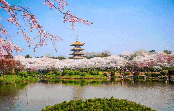 利发国际|Home