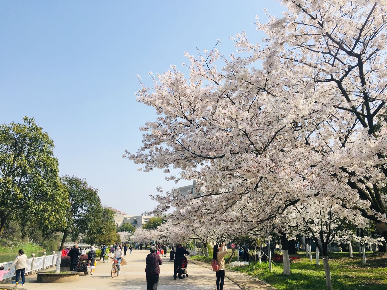 利发国际|Home